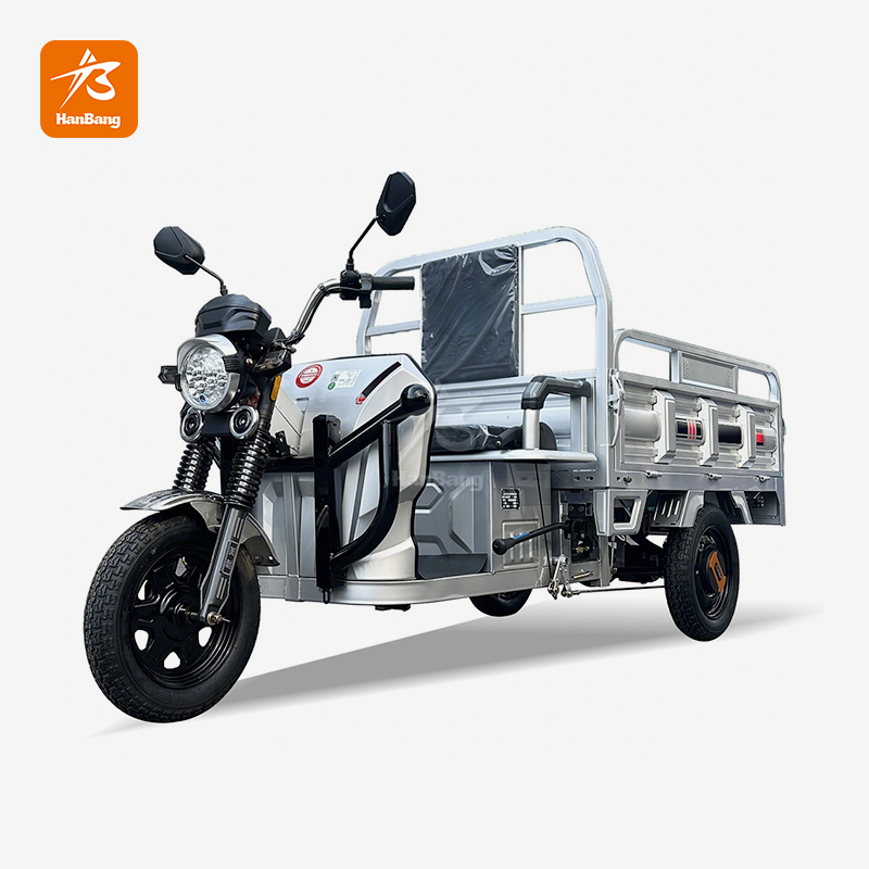 Electric Utility Tricycle truck 3 wheeler cargo